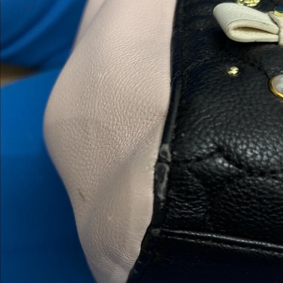 Betsey Johnson Purse Body Trim Lining 100% Polyester Gently Used Tag NotAttached - Picture 13 of 16